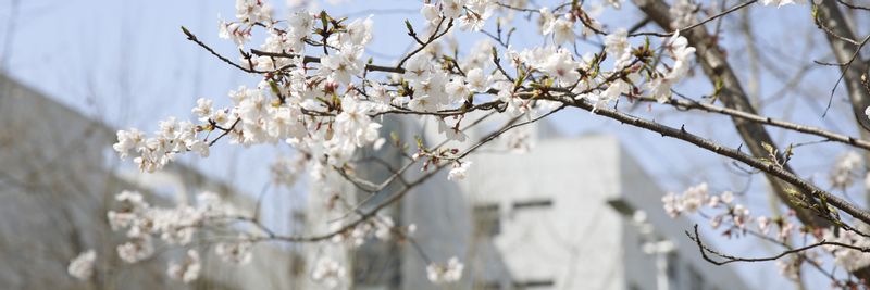 9001cc金沙以诚为本学术型研究...